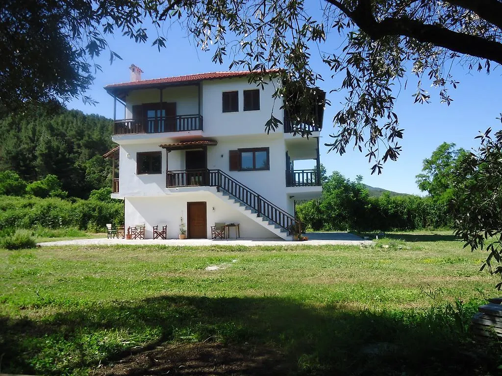 Villa Elaionas à Ierissos Grèce