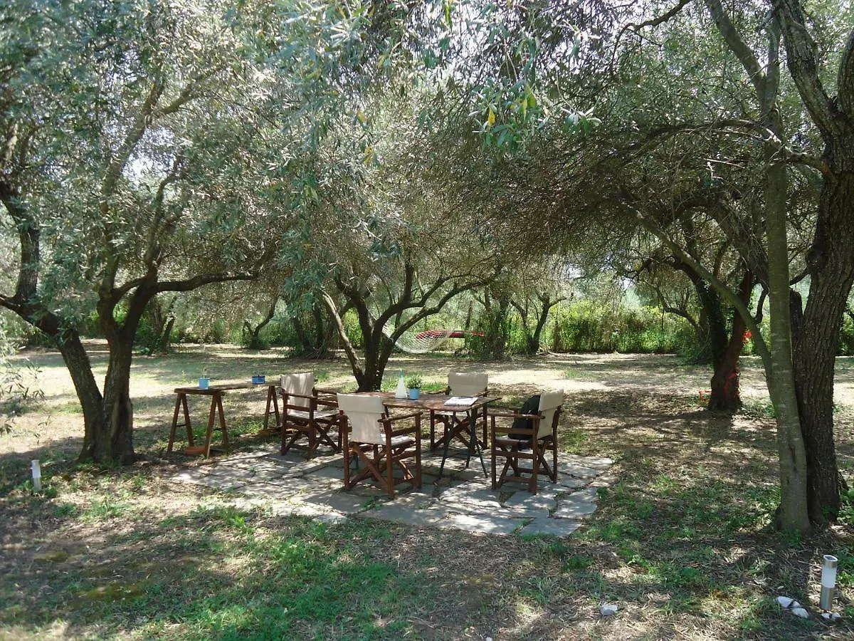 Villa Elaionas à Ierissos Grèce